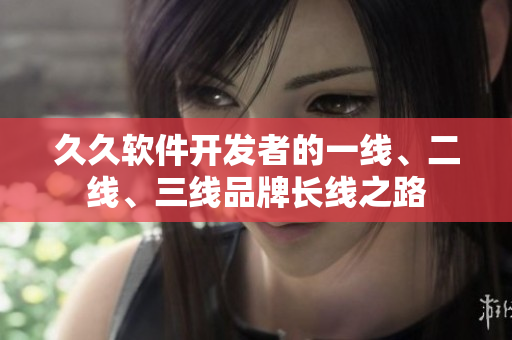 久久軟件開發(fā)者的一線、二線、三線品牌長線之路