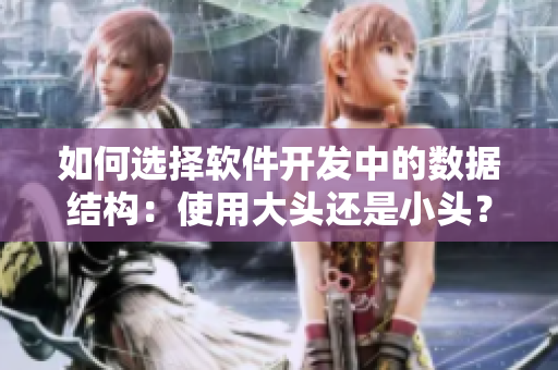 如何選擇軟件開發(fā)中的數(shù)據(jù)結(jié)構(gòu)：使用大頭還是小頭？