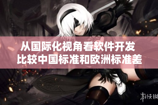 從國際化視角看軟件開發(fā) 比較中國標(biāo)準(zhǔn)和歐洲標(biāo)準(zhǔn)差異的尺碼指南