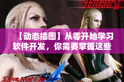 【動態(tài)插圖】從零開始學習軟件開發(fā)，你需要掌握這些必要技能！