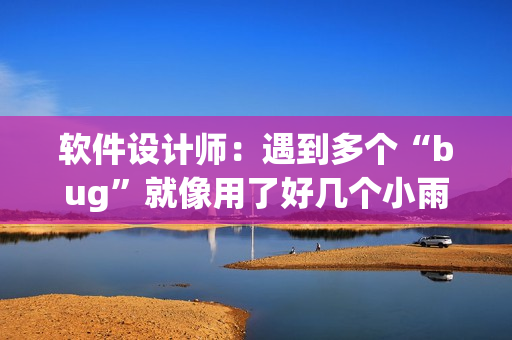 軟件設(shè)計(jì)師：遇到多個(gè)“bug”就像用了好幾個(gè)小雨傘一樣費(fèi)力