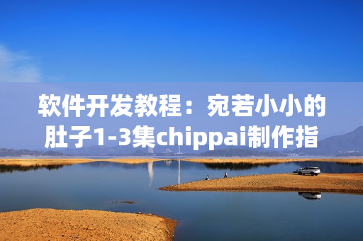 軟件開發(fā)教程：宛若小小的肚子1-3集chippai制作指南