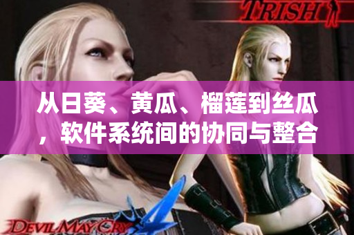 從日葵、黃瓜、榴蓮到絲瓜，軟件系統(tǒng)間的協(xié)同與整合-是否可實現(xiàn)？