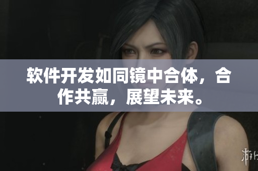 軟件開發(fā)如同鏡中合體，合作共贏，展望未來。