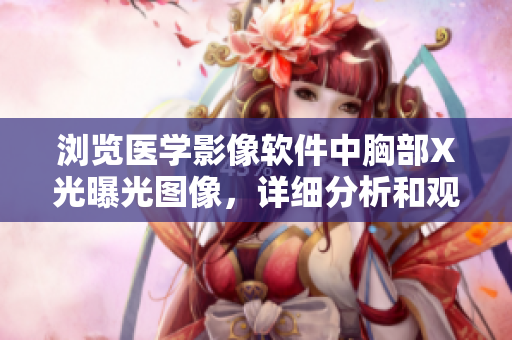 瀏覽醫(yī)學(xué)影像軟件中胸部X光曝光圖像，詳細(xì)分析和觀察