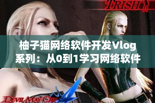 柚子貓網(wǎng)絡(luò)軟件開發(fā)Vlog系列：從0到1學(xué)習(xí)網(wǎng)絡(luò)軟件開發(fā)過程