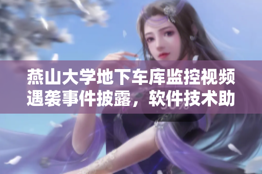 燕山大學(xué)地下車庫監(jiān)控視頻遇襲事件披露，軟件技術(shù)助力追蹤突發(fā)狀況