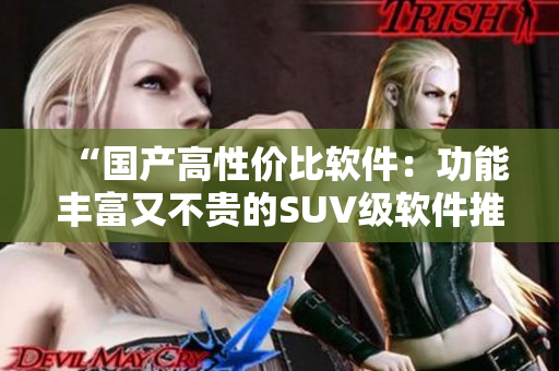 “國產(chǎn)高性價比軟件：功能豐富又不貴的SUV級軟件推薦”