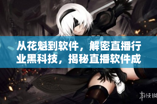 從花魁到軟件，解密直播行業(yè)黑科技，揭秘直播軟件成功秘訣