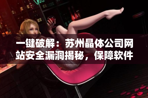 一鍵破解：蘇州晶體公司網(wǎng)站安全漏洞揭秘，保障軟件安全