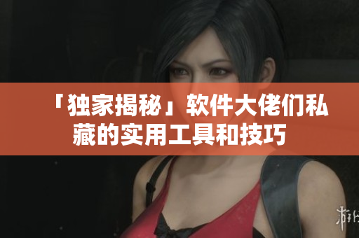 「獨家揭秘」軟件大佬們私藏的實用工具和技巧