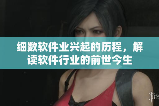 細(xì)數(shù)軟件業(yè)興起的歷程，解讀軟件行業(yè)的前世今生