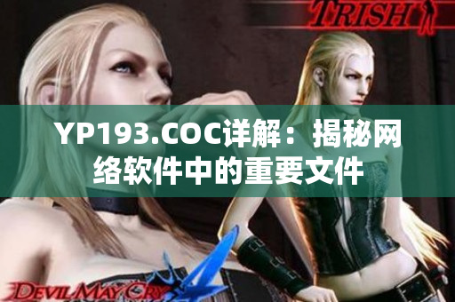 YP193.COC詳解：揭秘網(wǎng)絡(luò)軟件中的重要文件