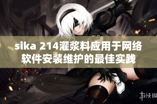 sika 214灌漿料應(yīng)用于網(wǎng)絡(luò)軟件安裝維護的最佳實踐