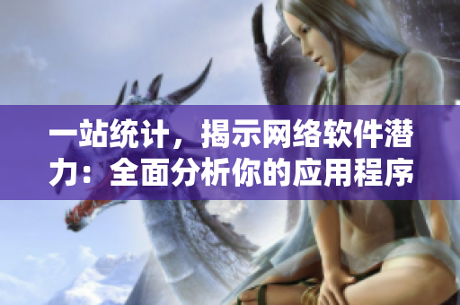 一站統(tǒng)計，揭示網絡軟件潛力：全面分析你的應用程序表現(xiàn)