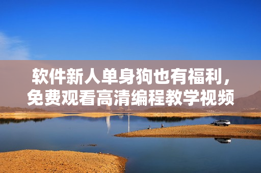 軟件新人單身狗也有福利，免費觀看高清編程教學(xué)視頻