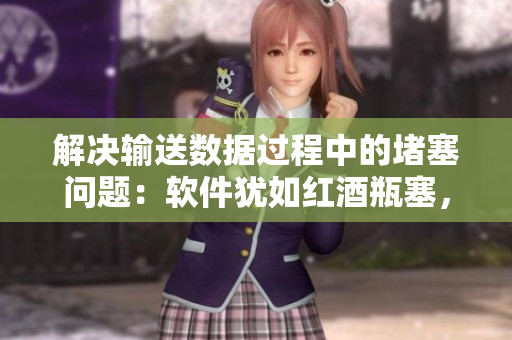 解決輸送數(shù)據(jù)過程中的堵塞問題：軟件猶如紅酒瓶塞，保護信息不會流失