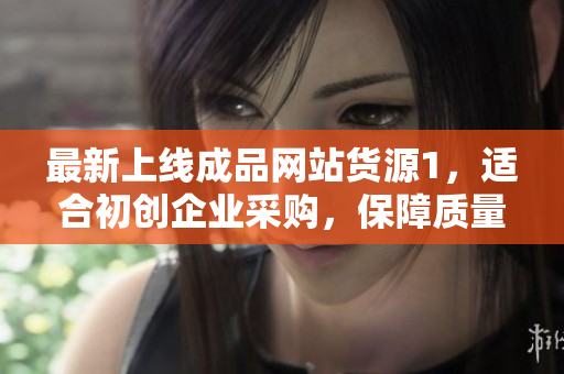 最新上線成品網(wǎng)站貨源1，適合初創(chuàng)企業(yè)采購(gòu)，保障質(zhì)量，價(jià)格超實(shí)惠！
