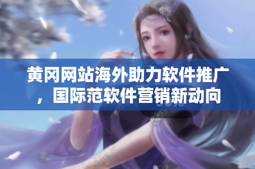 黃岡網(wǎng)站海外助力軟件推廣，國際范軟件營銷新動向
