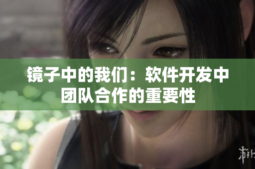 鏡子中的我們：軟件開發(fā)中團隊合作的重要性