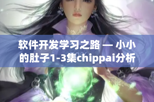 軟件開發(fā)學(xué)習(xí)之路 — 小小的肚子1-3集chippai分析