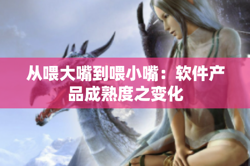 從喂大嘴到喂小嘴：軟件產(chǎn)品成熟度之變化