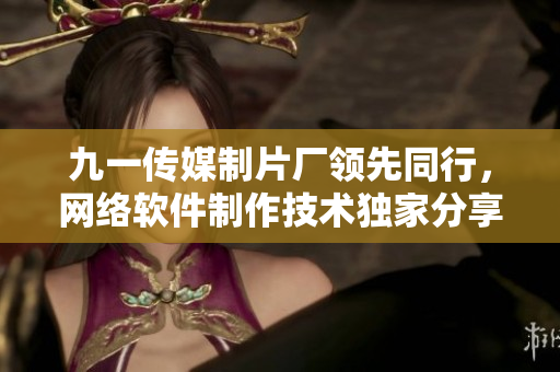 九一傳媒制片廠領(lǐng)先同行，網(wǎng)絡(luò)軟件制作技術(shù)獨(dú)家分享