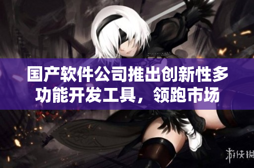 國產(chǎn)軟件公司推出創(chuàng)新性多功能開發(fā)工具，領(lǐng)跑市場