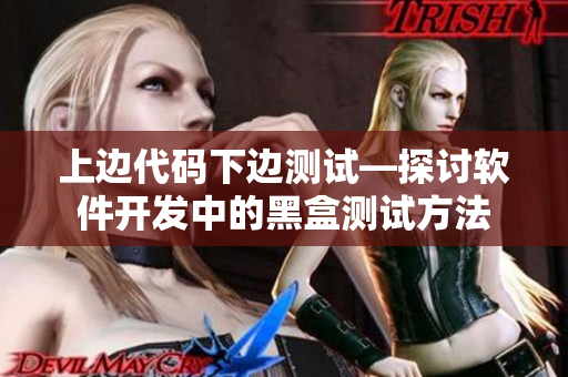 上邊代碼下邊測(cè)試—探討軟件開(kāi)發(fā)中的黑盒測(cè)試方法
