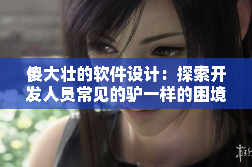 傻大壯的軟件設(shè)計：探索開發(fā)人員常見的驢一樣的困境
