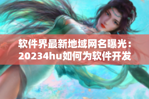 軟件界最新地域網(wǎng)名曝光：20234hu如何為軟件開發(fā)者帶來全新體驗？