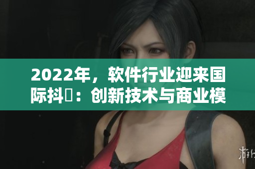 2022年，軟件行業(yè)迎來國際抖抈：創(chuàng)新技術(shù)與商業(yè)模式的拓展與碰撞