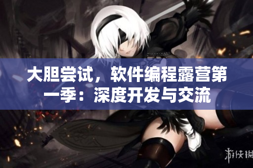 大膽嘗試，軟件編程露營第一季：深度開發(fā)與交流