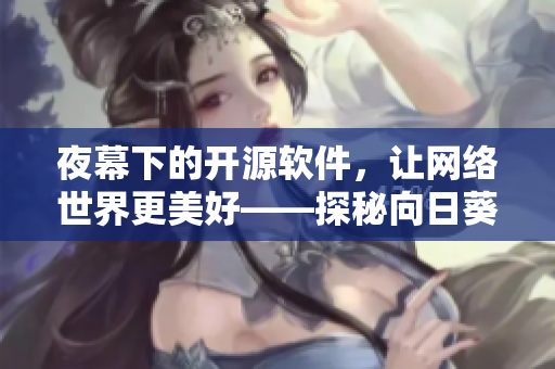 夜幕下的開源軟件，讓網(wǎng)絡(luò)世界更美好——探秘向日葵遠(yuǎn)程桌面分享工具