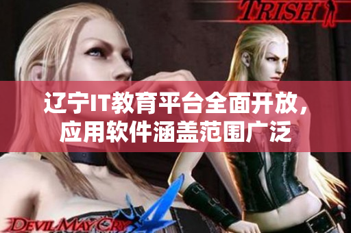 遼寧IT教育平臺(tái)全面開放，應(yīng)用軟件涵蓋范圍廣泛