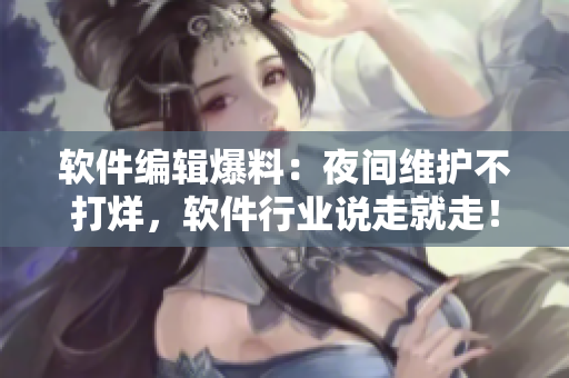 軟件編輯爆料：夜間維護(hù)不打烊，軟件行業(yè)說走就走！