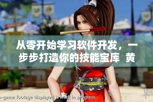 從零開始學(xué)習(xí)軟件開發(fā)，一步步打造你的技能寶庫(kù)  黃品匯MBA智庫(kù)