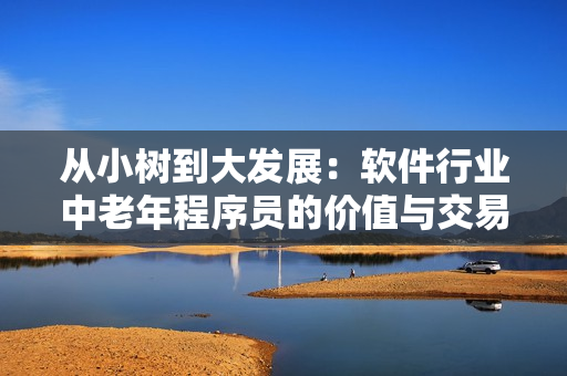 從小樹到大發(fā)展：軟件行業(yè)中老年程序員的價(jià)值與交易