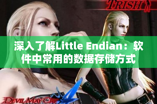深入了解Little Endian：軟件中常用的數(shù)據(jù)存儲方式