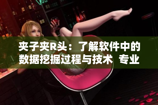 夾子夾R頭：了解軟件中的數(shù)據(jù)挖掘過程與技術(shù)  專業(yè)網(wǎng)絡(luò)軟件相關(guān)文章