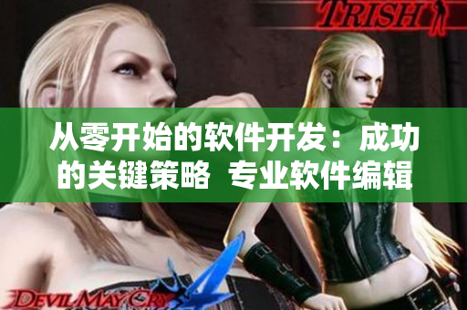 從零開始的軟件開發(fā)：成功的關(guān)鍵策略  專業(yè)軟件編輯分享