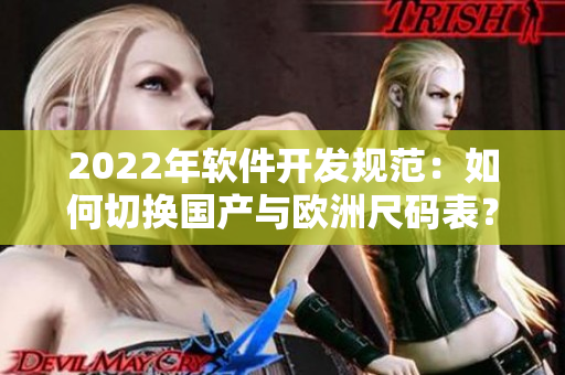 2022年軟件開發(fā)規(guī)范：如何切換國(guó)產(chǎn)與歐洲尺碼表？