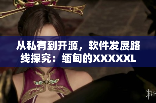從私有到開源，軟件發(fā)展路線探究：緬甸的XXXXXL