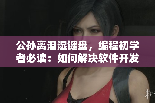公孫離淚濕鍵盤，編程初學(xué)者必讀：如何解決軟件開發(fā)中常見問題