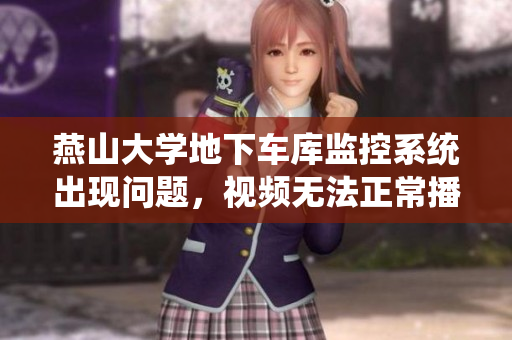燕山大學(xué)地下車庫(kù)監(jiān)控系統(tǒng)出現(xiàn)問(wèn)題，視頻無(wú)法正常播放