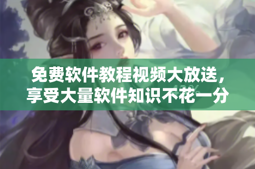 免費(fèi)軟件教程視頻大放送，享受大量軟件知識不花一分錢！