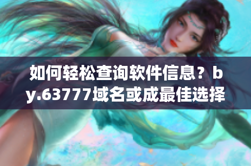 如何輕松查詢軟件信息？by.63777域名或成最佳選擇！