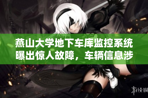 燕山大學(xué)地下車庫監(jiān)控系統(tǒng)曝出驚人故障，車輛信息涉泄露隱私安全風(fēng)險(xiǎn)