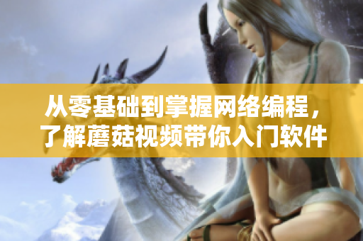 從零基礎(chǔ)到掌握網(wǎng)絡(luò)編程，了解蘑菇視頻帶你入門軟件開發(fā)！