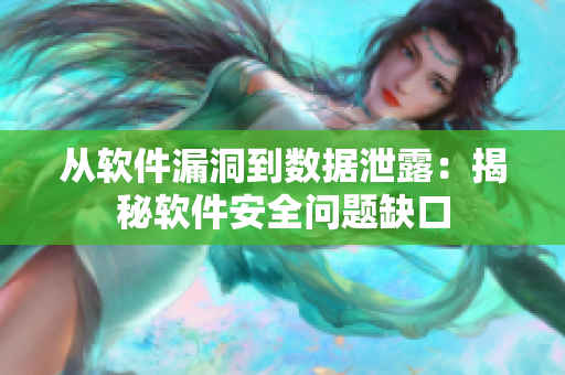 從軟件漏洞到數(shù)據(jù)泄露：揭秘軟件安全問(wèn)題缺口
